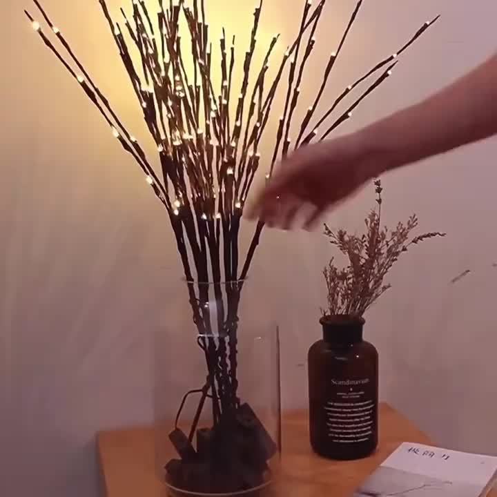 LED Lighted Twig Branches In Home