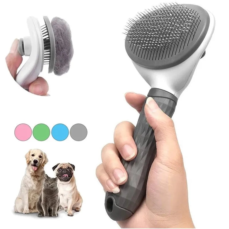 Pet Brush In Home