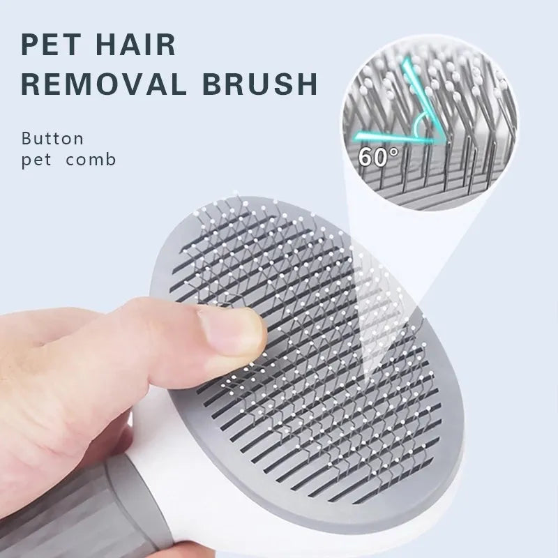 Pet Brush In Home