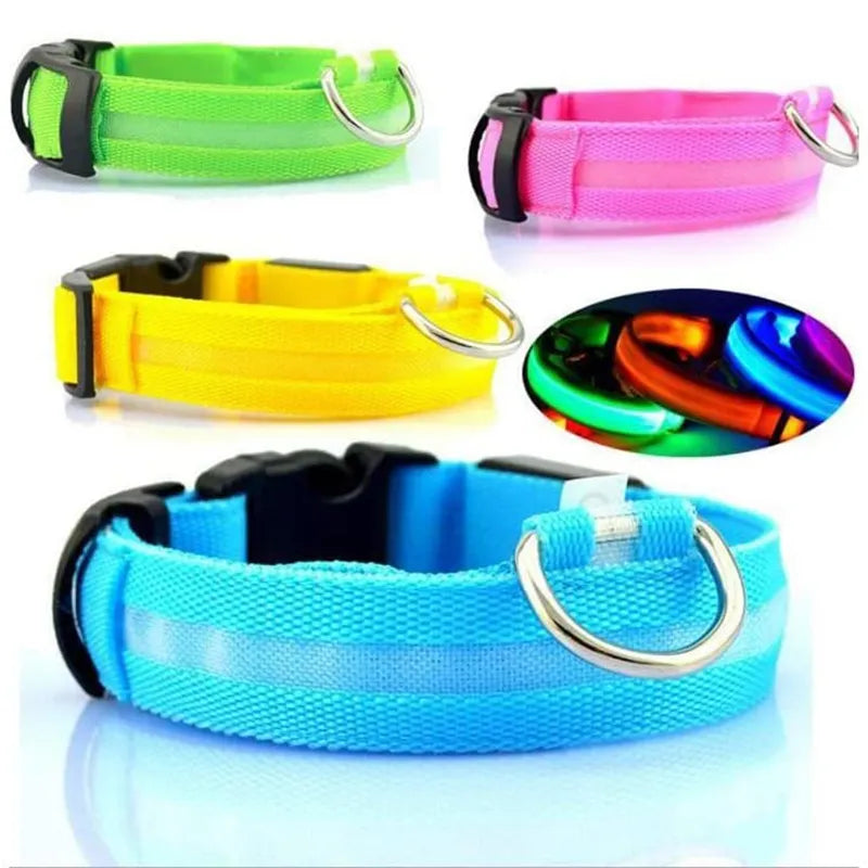 LED Glowing Dog Collars In Home