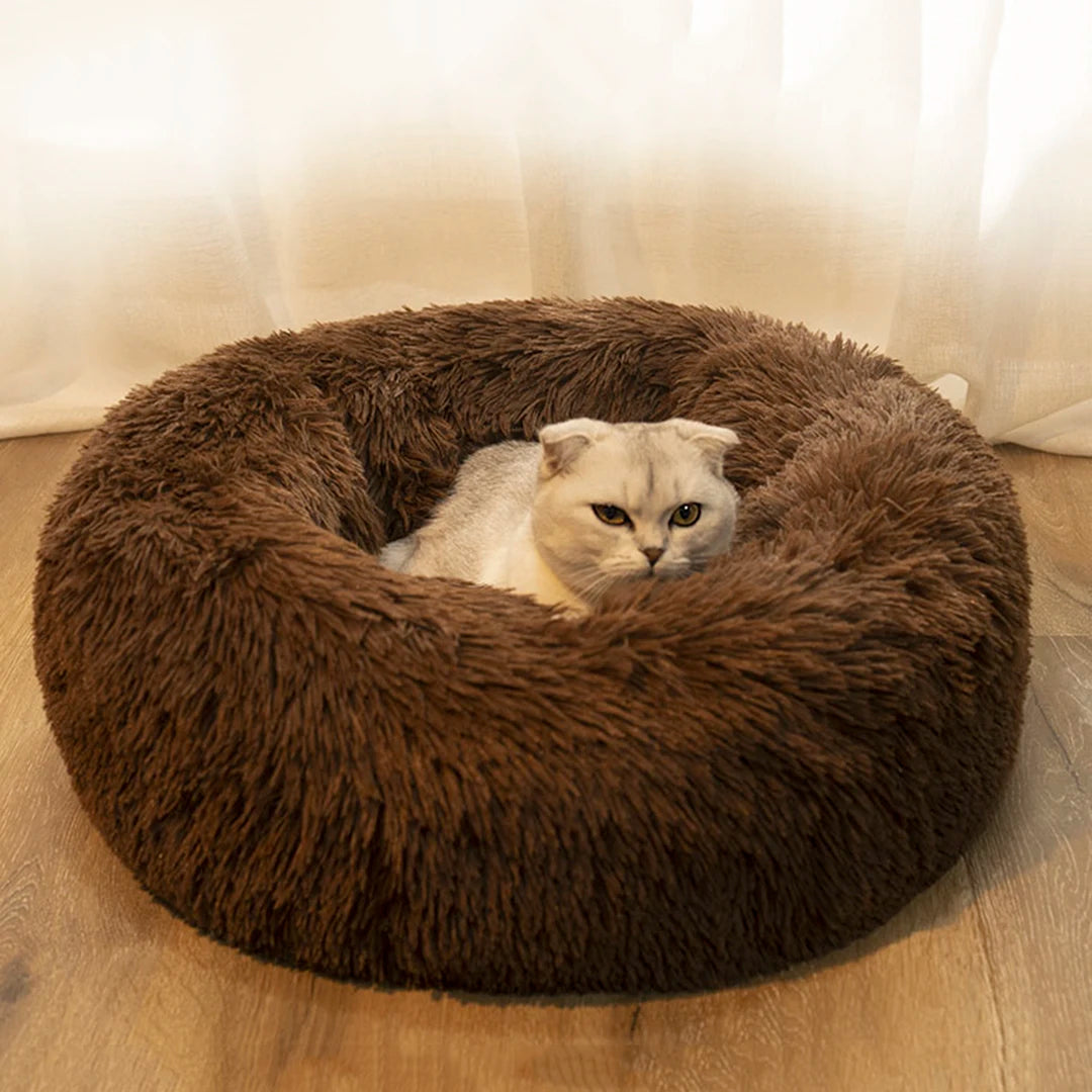 Pet Dog Bed In Home