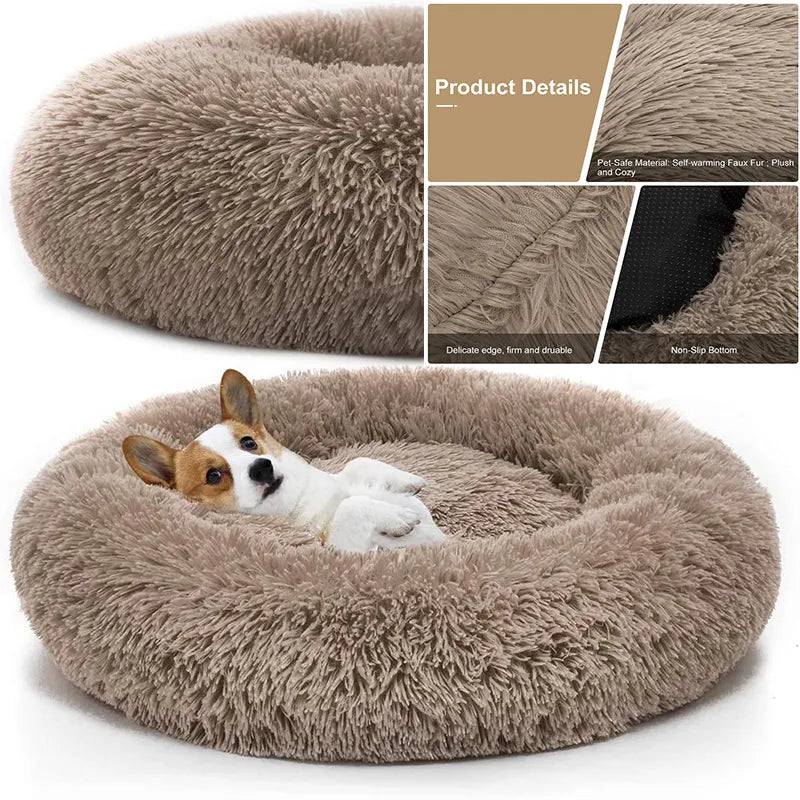 Pet Dog Bed In Home