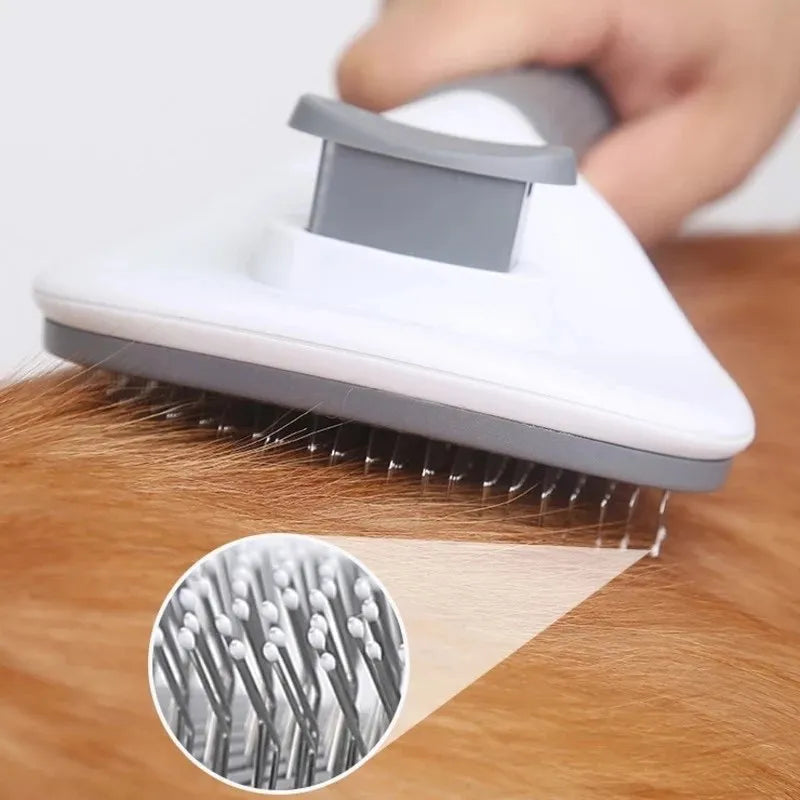 Pet Brush In Home