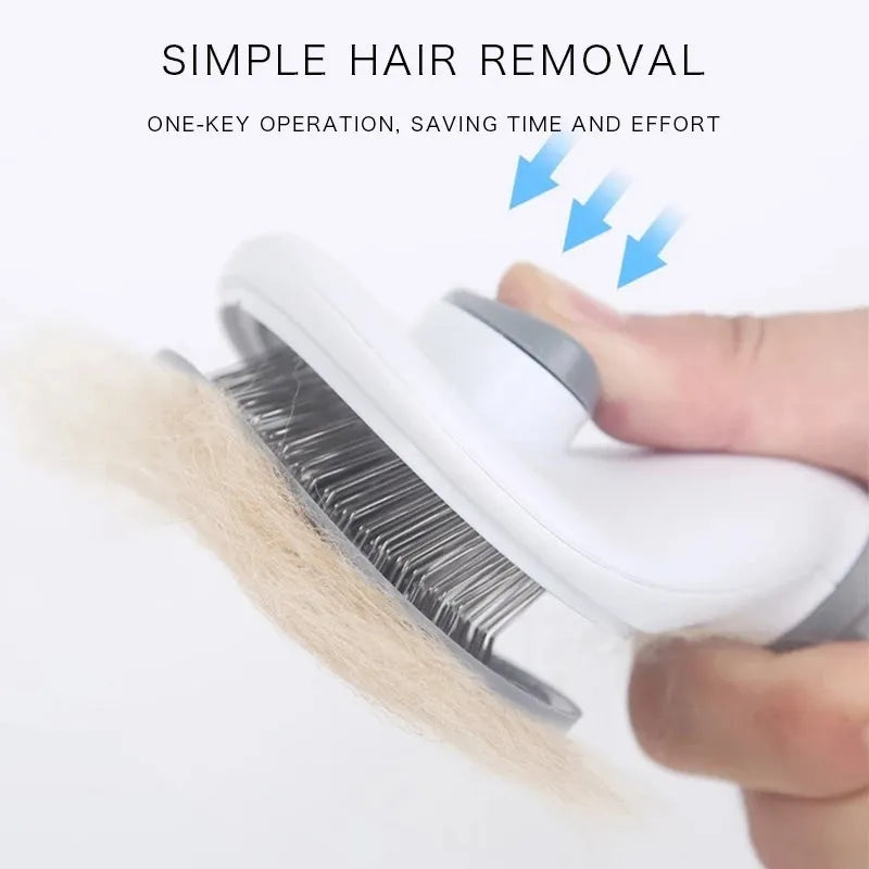 Pet Brush In Home