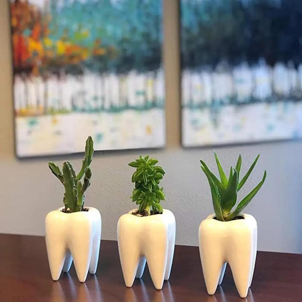 #title##Ceramic Tooth Vase | In Home