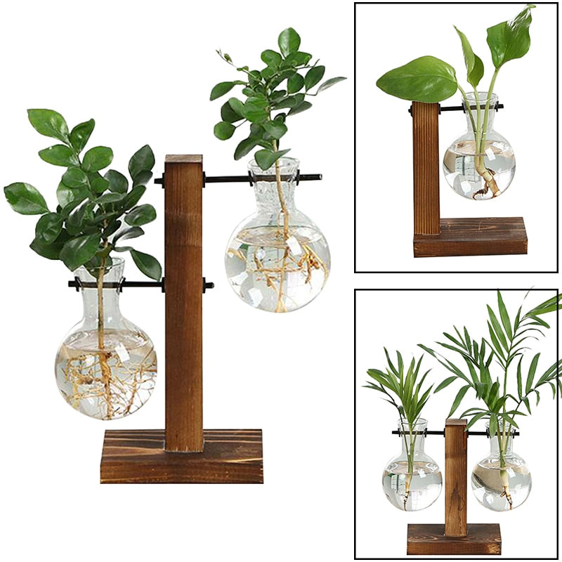 #title##Glass Flower Pot | In Home