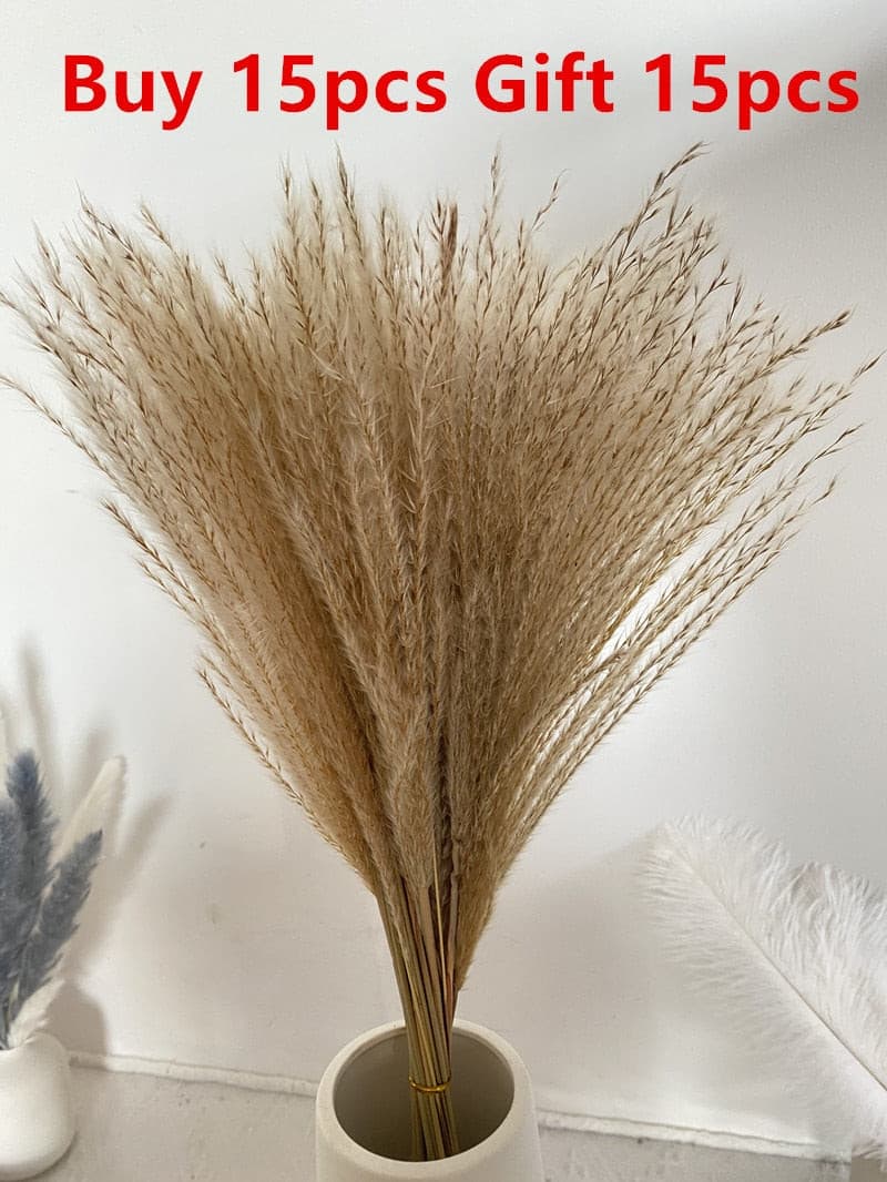 #title##Dried Pampas Grass | In Home