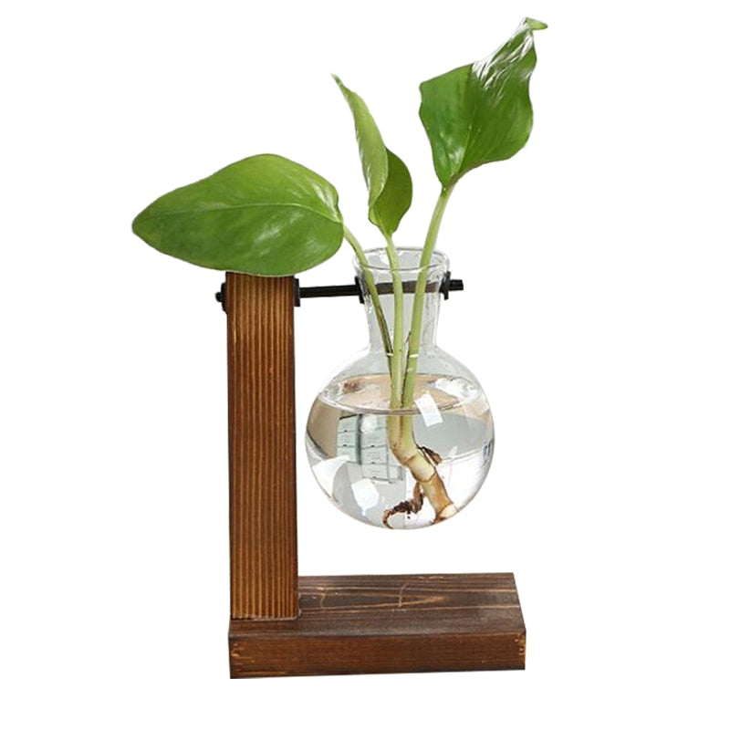 #title##Glass Flower Pot | In Home