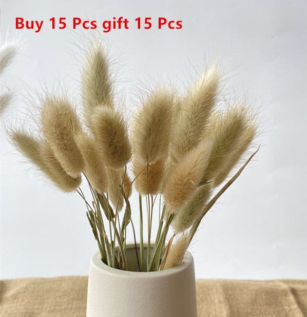 #title##Dried Pampas Grass | In Home