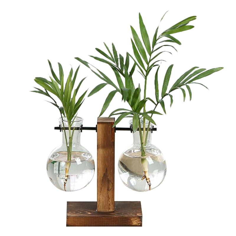 #title##Glass Flower Pot | In Home