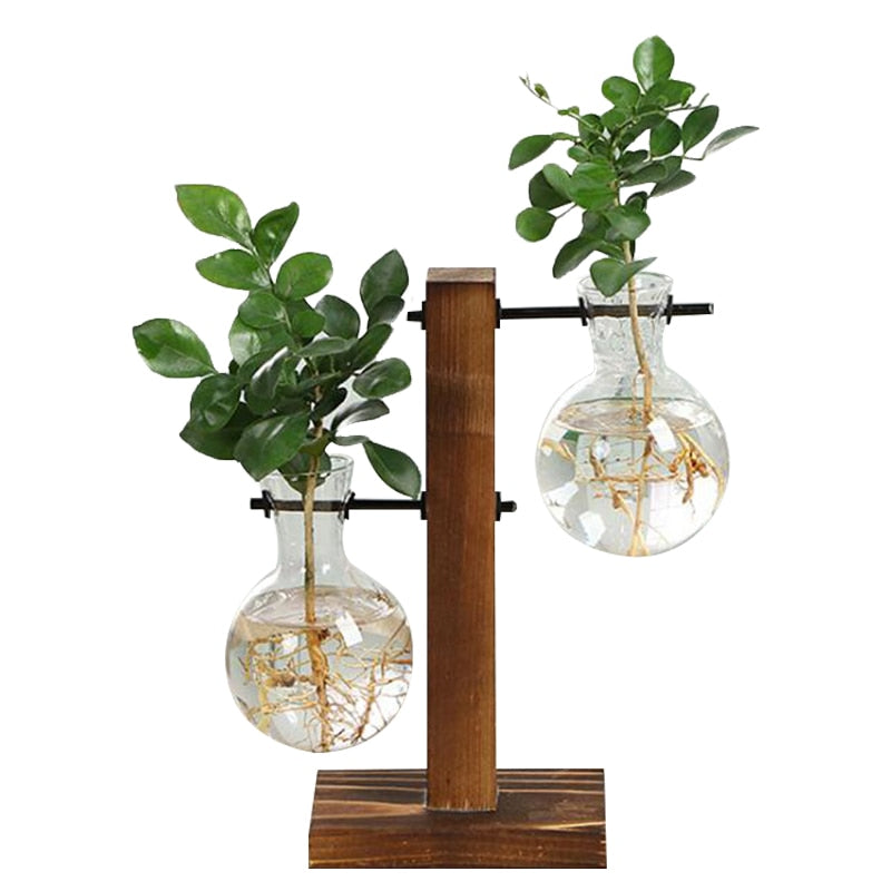 #title##Glass Flower Pot | In Home