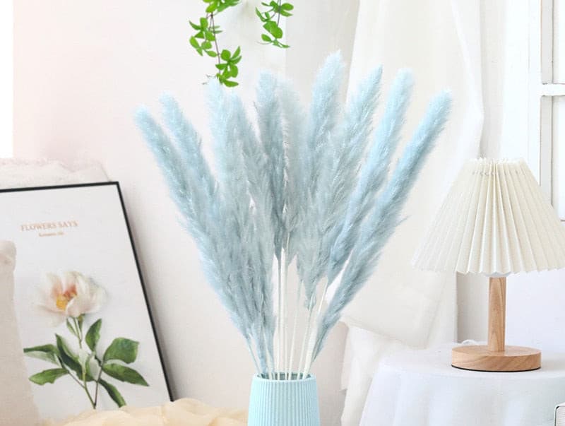 #title##Dried Pampas Grass | In Home